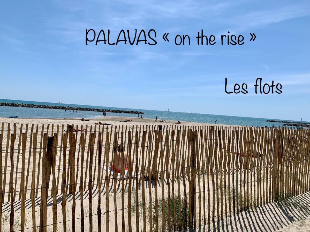 Amerique Hotel Palavas - Piscine - Plage Kültér fotó